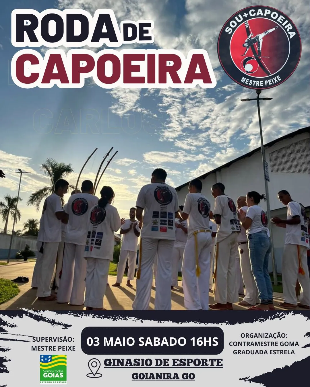 Cartaz da Roda